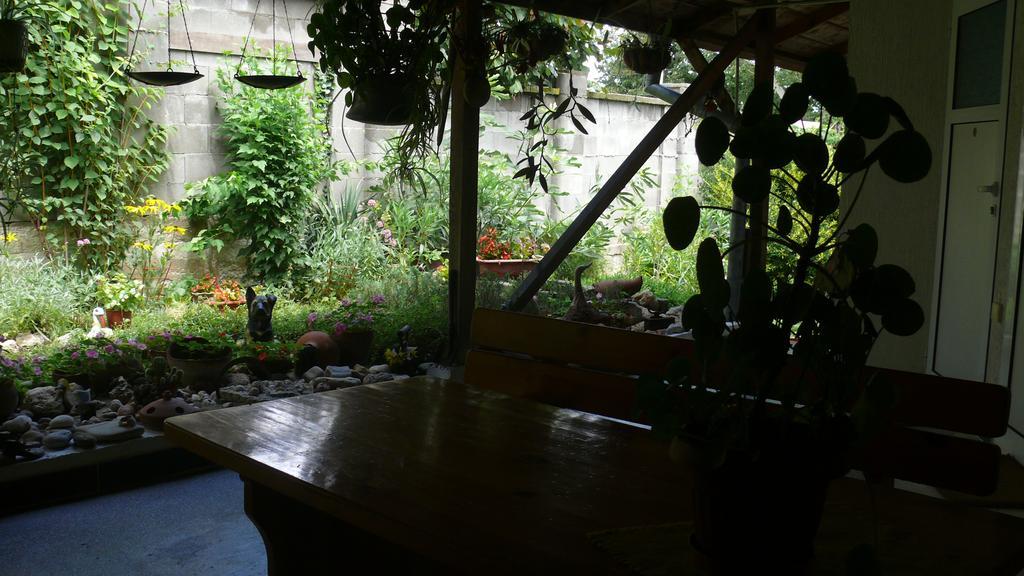 Villa Climate Guest House Varna ภายนอก รูปภาพ